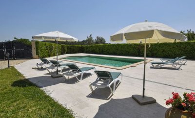 Gran zona ajardinada con árboles frutales / T07MLL